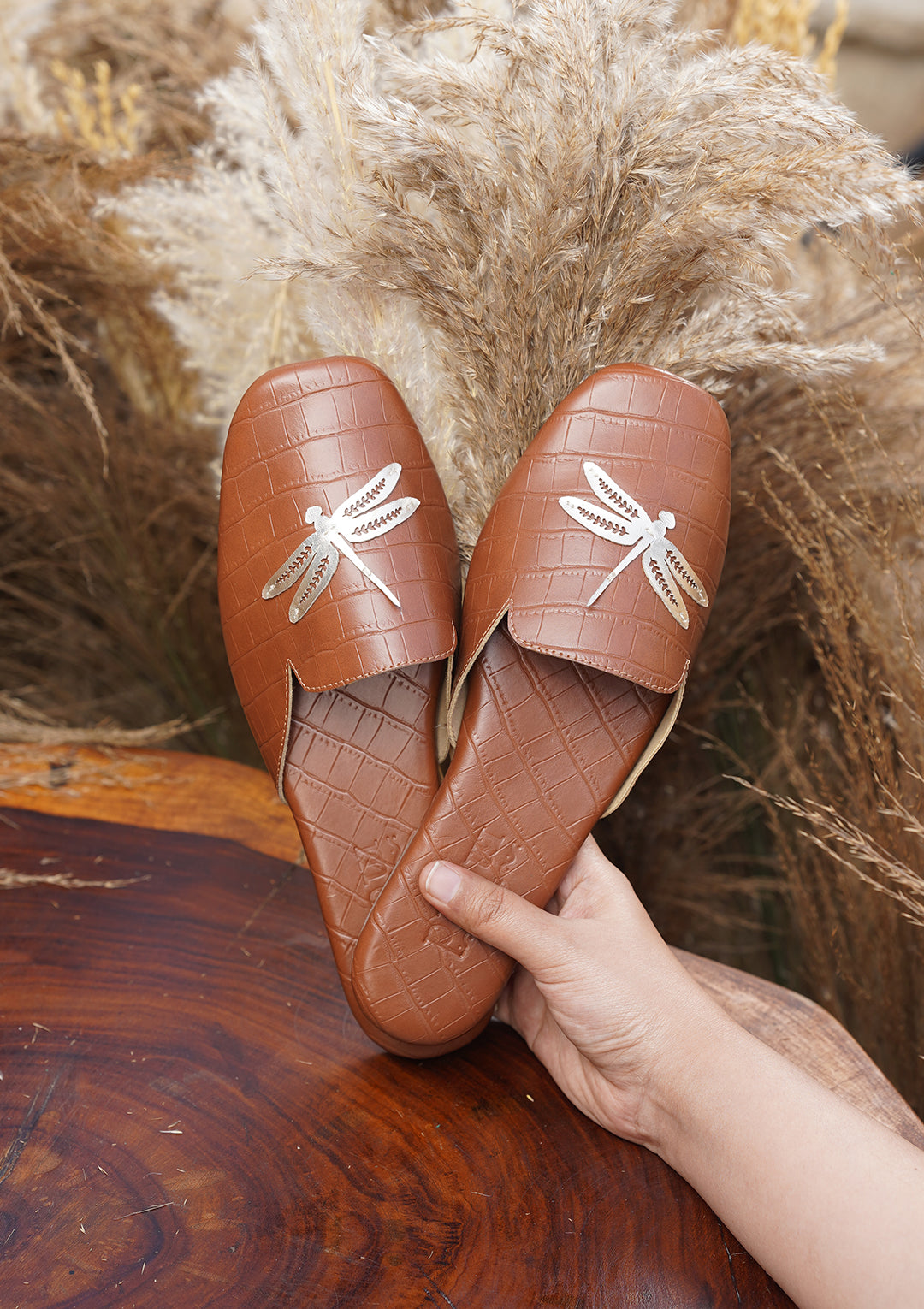 Dreamer - Main Image