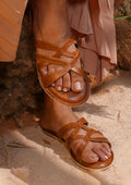 Rhythm ( Brown )