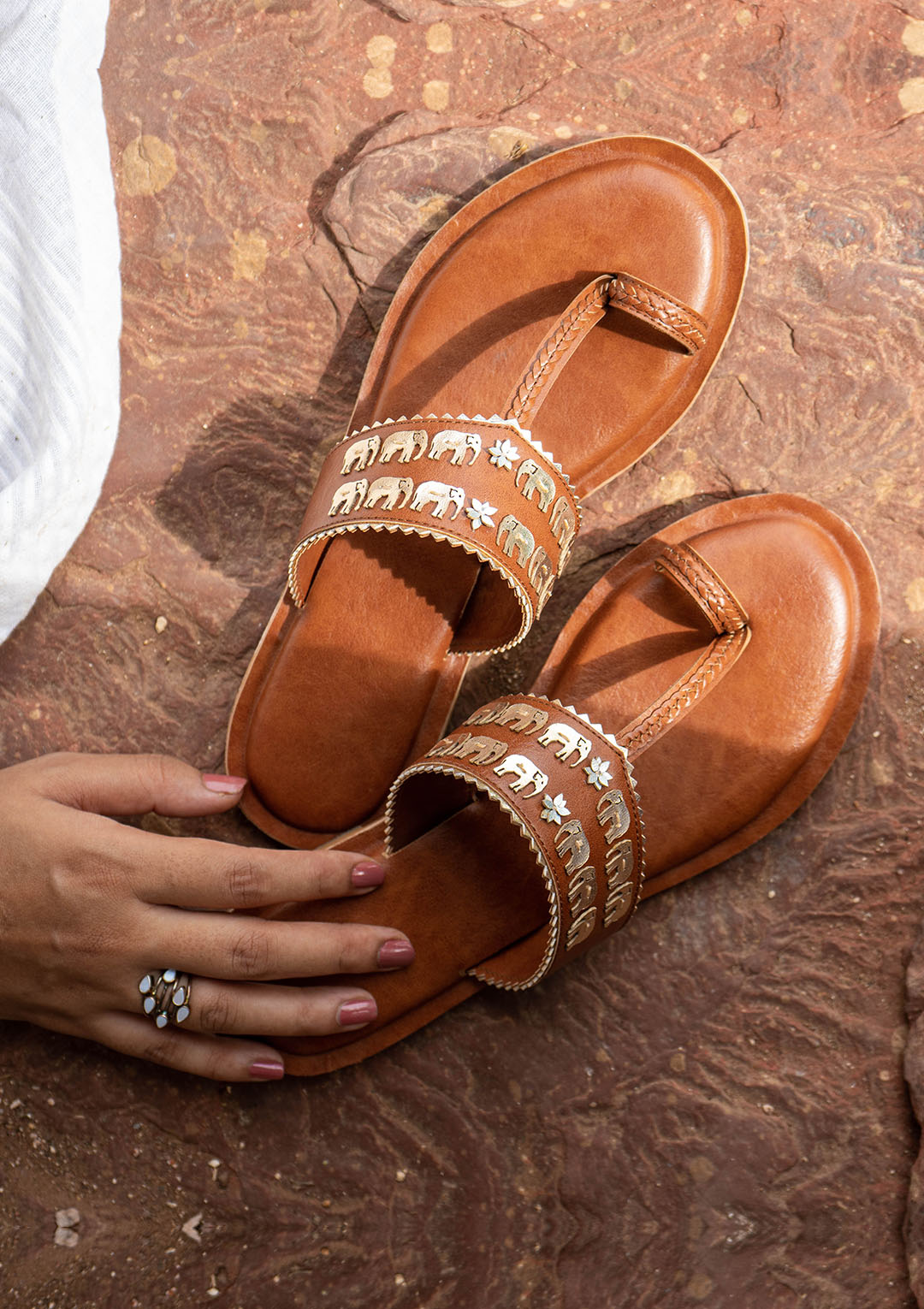 Shahi ( Brown )